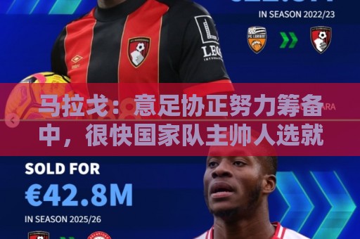 马拉戈：意足协正努力筹备中，很快国家队主帅人选就会有具体名字