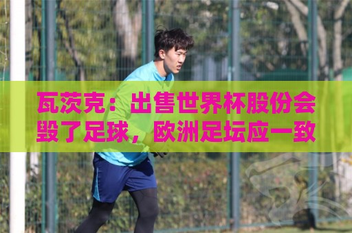 瓦茨克：出售世界杯股份会毁了足球，欧洲足坛应一致抵制