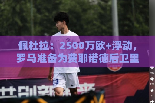 佩杜拉：2500万欧+浮动，罗马准备为费耶诺德后卫里德提供新报价