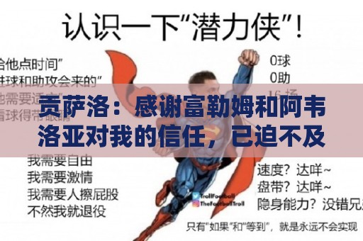 贡萨洛：感谢富勒姆和阿韦洛亚对我的信任，已迫不及待开始新征程