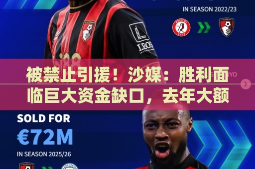 被禁止引援！沙媒：胜利面临巨大资金缺口，去年大额合同带来负债