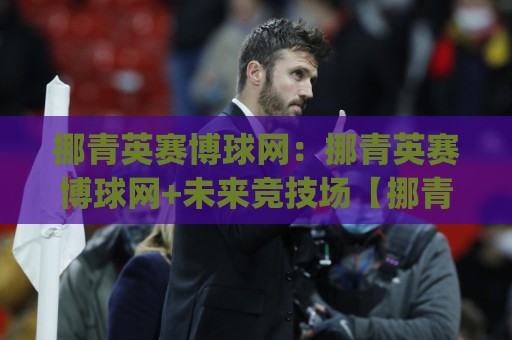 挪青英赛博球网：挪青英赛博球网+未来竞技场【挪青英赛博球网】如何重塑数字体育新体验🕑今日最新外围堵球网APP网址球盘平台赛后回放JRS