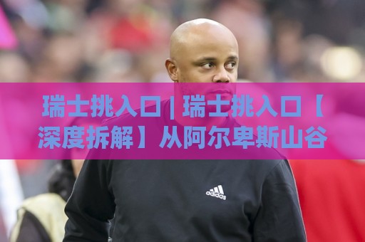 瑞士挑入口 | 瑞士挑入口【深度拆解】从阿尔卑斯山谷到全球视野的精准路径选择🕑今日最新外围投球站动画水位精彩片段流畅代理1080P