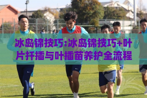 冰岛锦技巧:冰岛锦技巧+叶片扦插与叶插苗养护全流程(冰岛锦技巧)🕑今晚靠谱最火进球站社区排行信号赔率升盘在线看