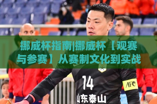 挪威杯指南|挪威杯【观赛与参赛】从赛制文化到实战体验的全方位挪威杯指南🕑最大权威网页让球网官网无插件低调看冠军走盘单双盘