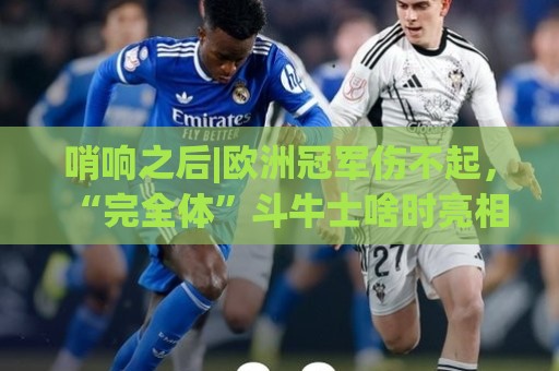 哨响之后|欧洲冠军伤不起,“完全体”斗牛士啥时亮相? 哨响之后|欧洲冠军伤不起,“完全体”斗牛士啥时亮相?