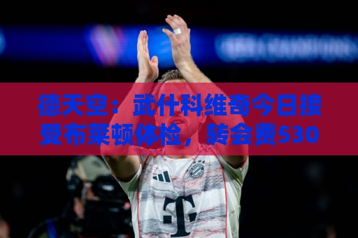 德天空:武什科维奇今日接受布莱顿体检,转会费5300万+500万欧 德天空:武什科维奇今日接受布莱顿体检,转会费5300万+500万欧