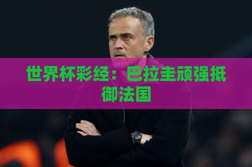 世界杯彩经:巴拉圭顽强抵御法国 世界杯彩经:巴拉圭顽强抵御法国