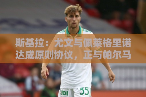 斯基拉:尤文与佩莱格里诺达成原则协议,正与帕尔马商谈先租后买 斯基拉:尤文与佩莱格里诺达成原则协议,正与帕尔马商谈先租后买