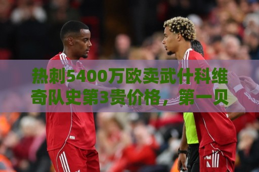 热刺5400万欧卖武什科维奇队史第3贵价格,第一贝尔1亿欧卖皇马 热刺5400万欧卖武什科维奇队史第3贵价格,第一贝尔1亿欧卖皇马