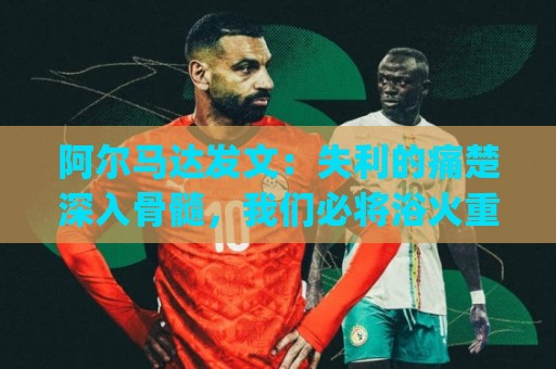 阿尔马达发文:失利的痛楚深入骨髓,我们必将浴火重生&强势归来 阿尔马达发文:失利的痛楚深入骨髓,我们必将浴火重生&强势归来