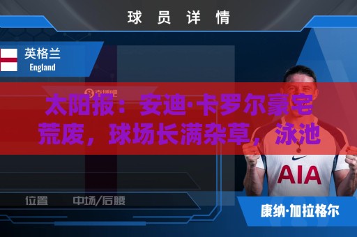 太阳报:安迪·卡罗尔豪宅荒废,球场长满杂草,泳池的水浑浊发绿 太阳报:安迪·卡罗尔豪宅荒废,球场长满杂草,泳池的水浑浊发绿
