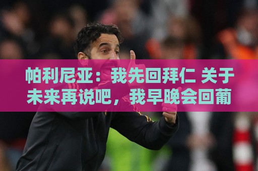 帕利尼亚:我先回拜仁 关于未来再说吧,我早晚会回葡萄牙踢球 帕利尼亚:我先回拜仁 关于未来再说吧,我早晚会回葡萄牙踢球